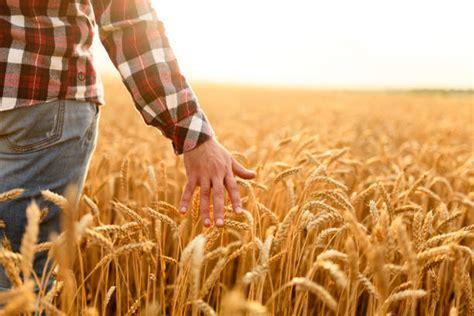 Agriculteur